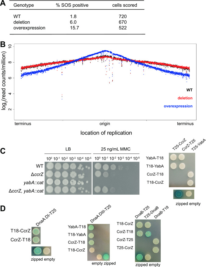 Fig 2