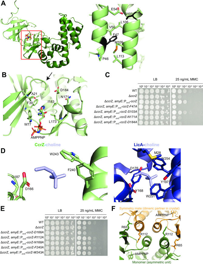 Fig 4