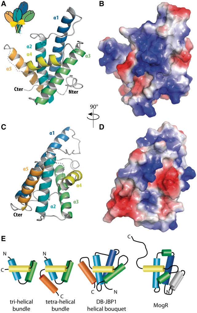 Figure 3.