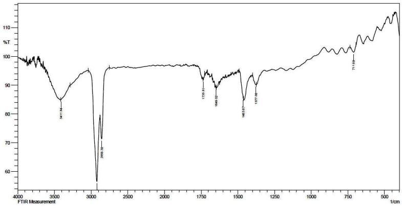 Fig.3