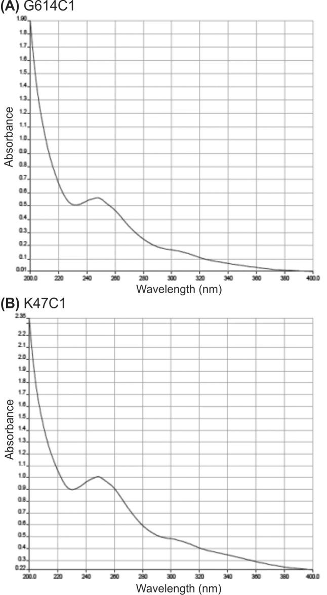 Fig.2