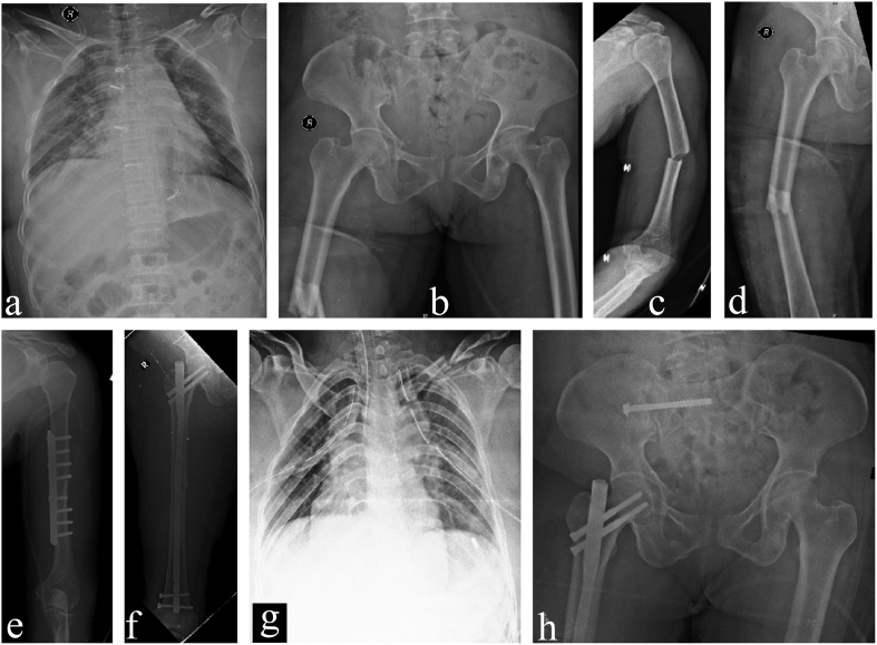 Fig. 3