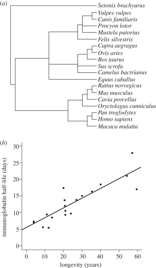 Figure 1.