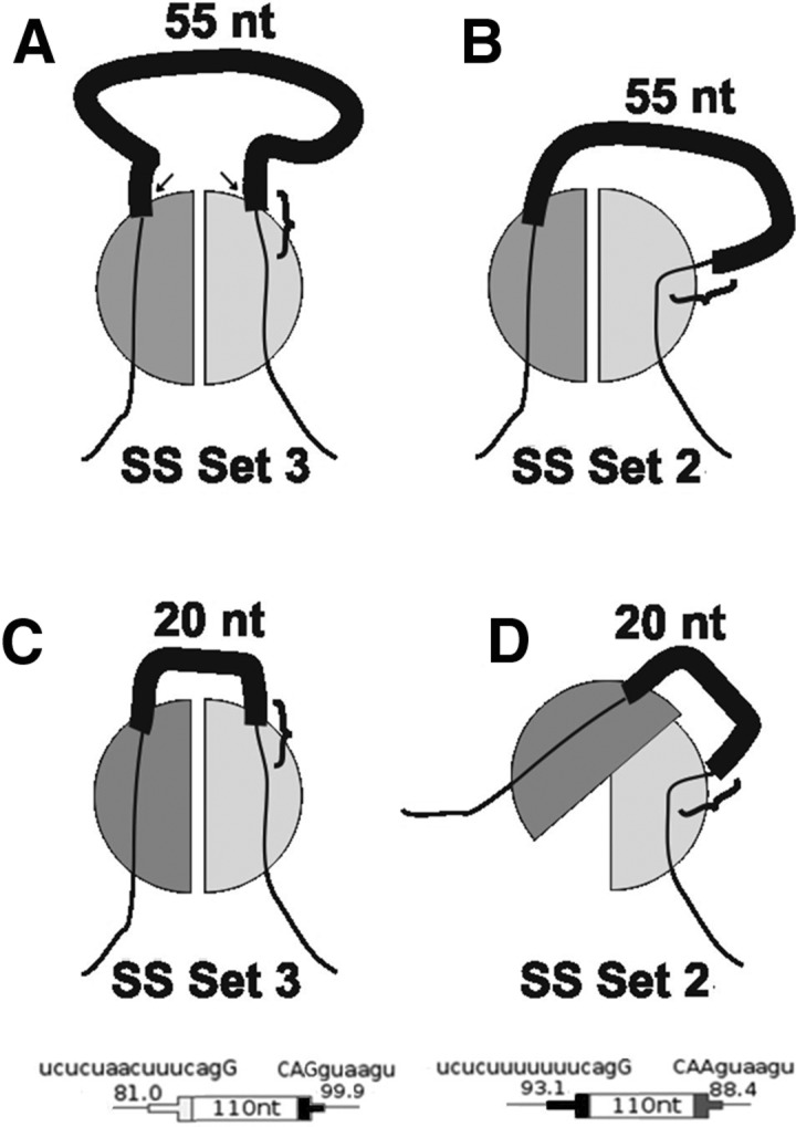 FIGURE 9.