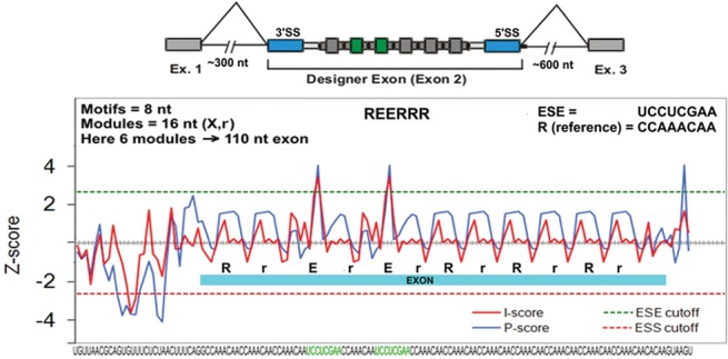 FIGURE 1.