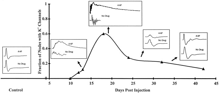 Fig. 10.