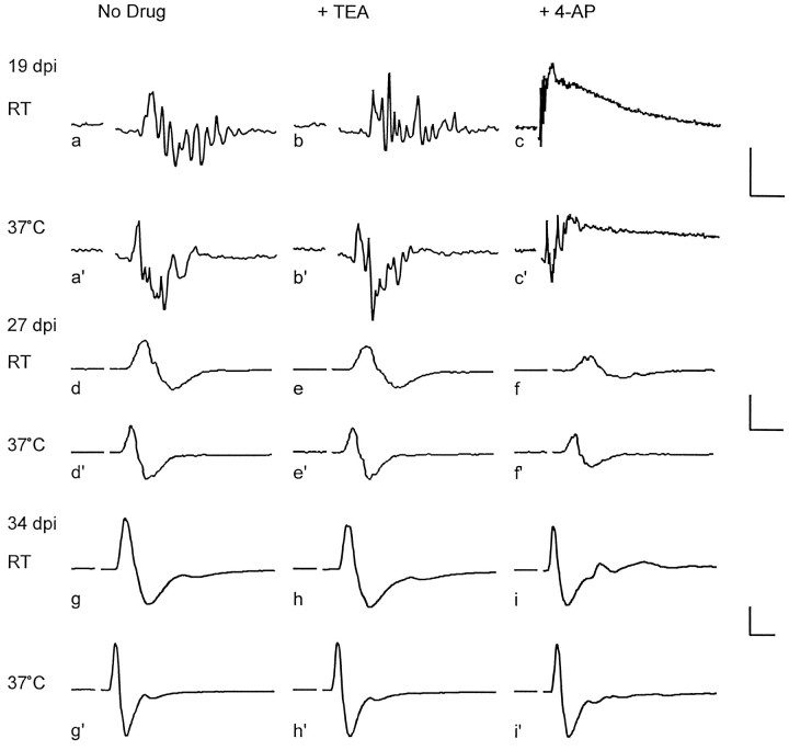 Fig. 8.