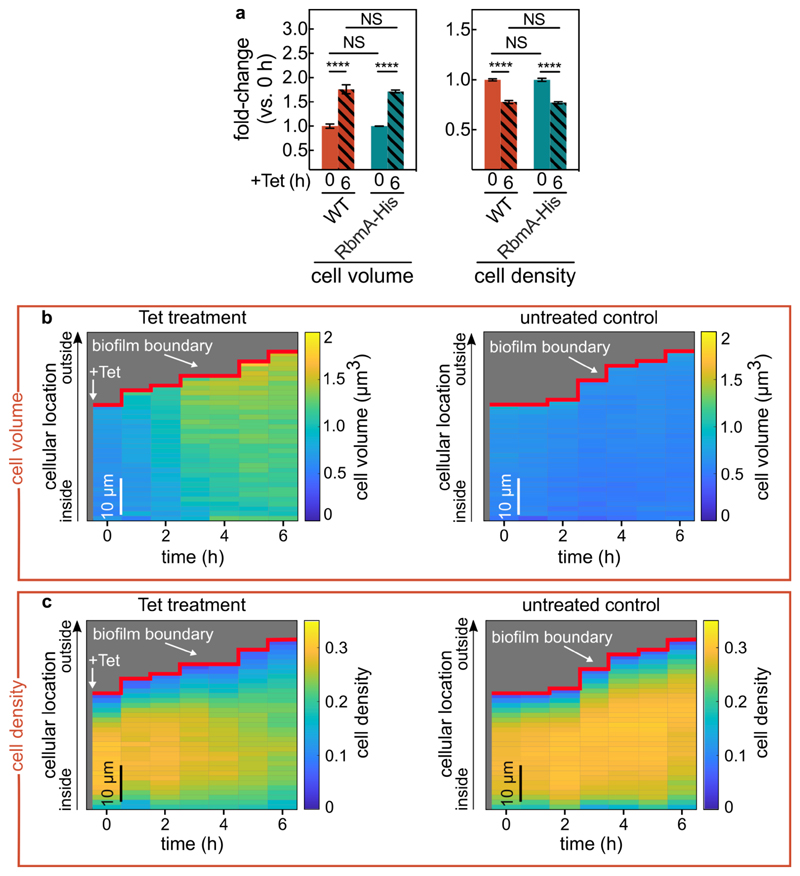 Extended Data Fig. 6