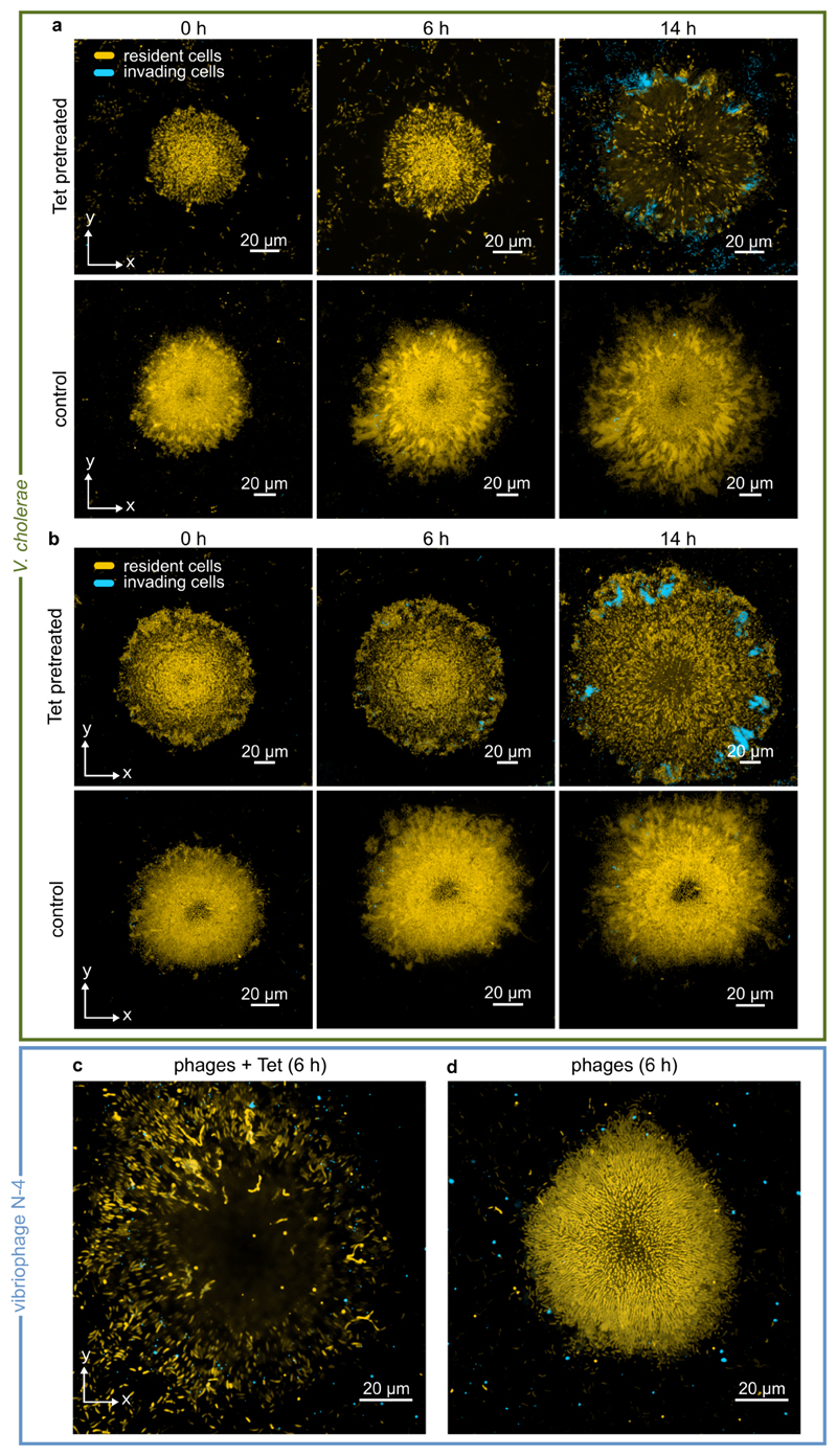 Extended Data Fig. 9