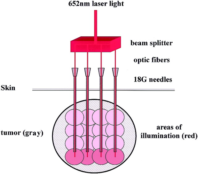 Fig 2.