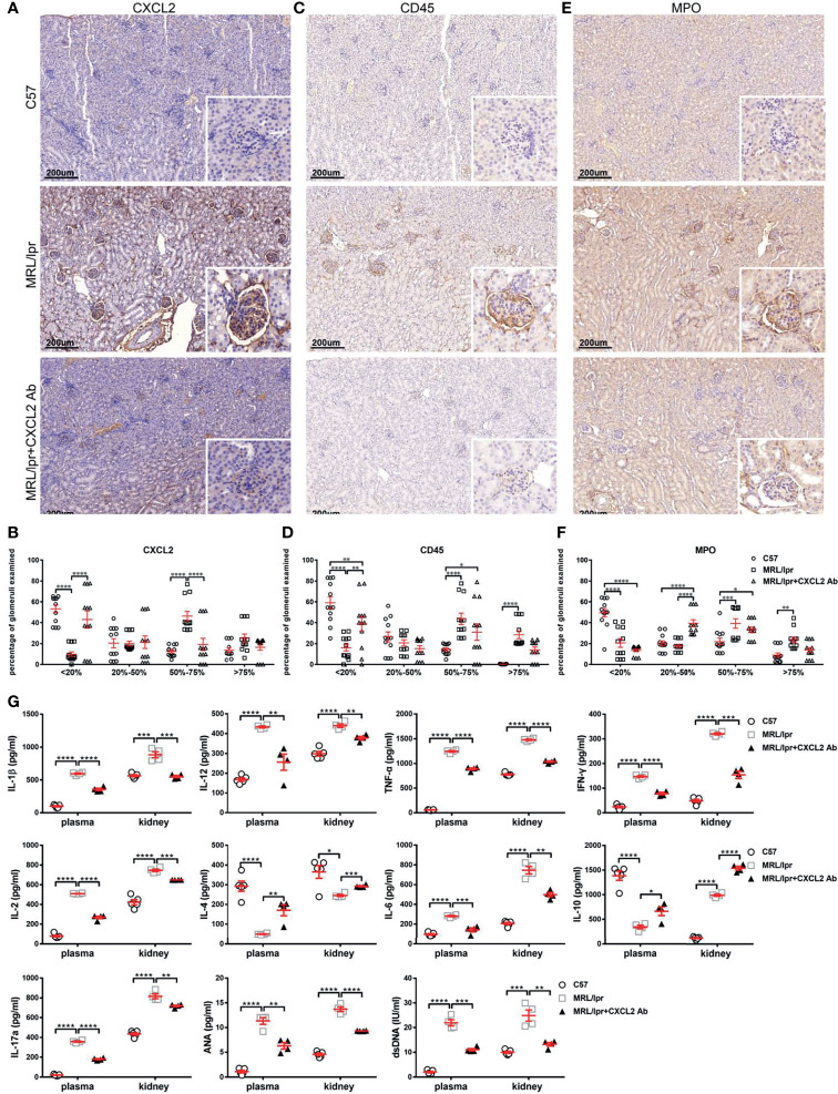 Figure 6