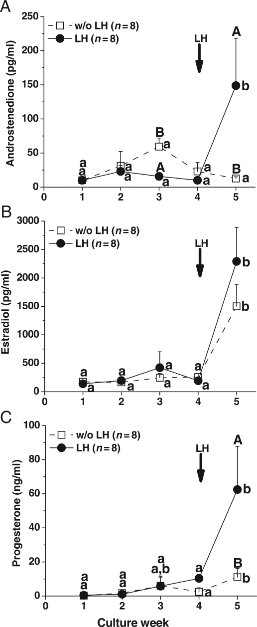 Figure 6