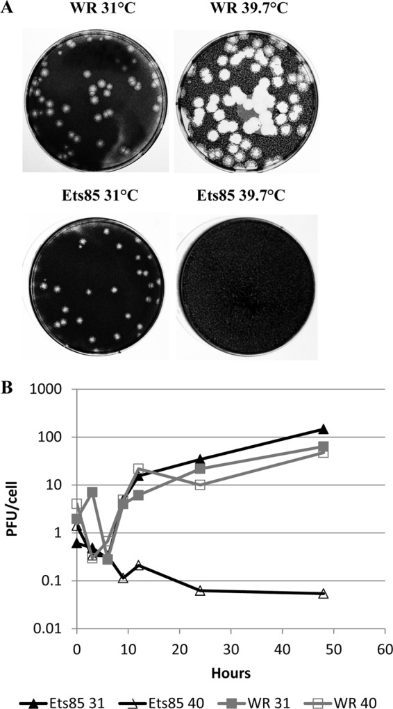 FIG 3