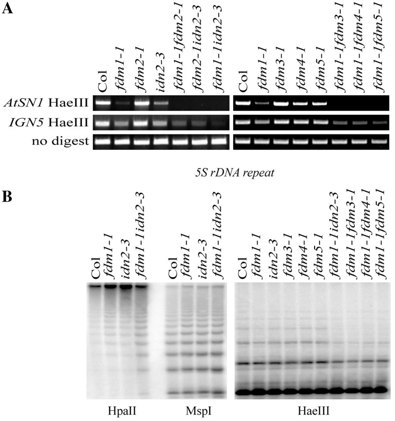 Figure 6.