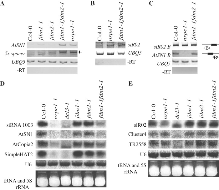 Figure 3.