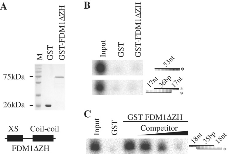 Figure 5.