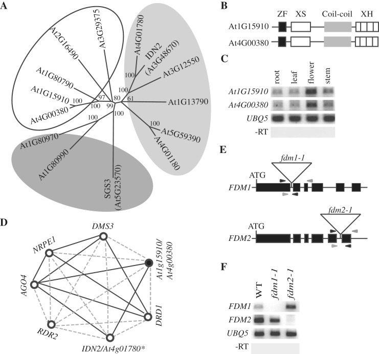 Figure 1.