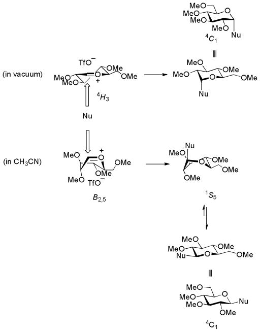 Scheme 3