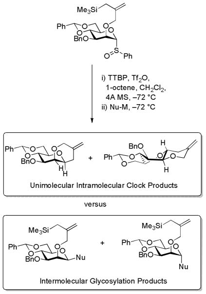 Scheme 7