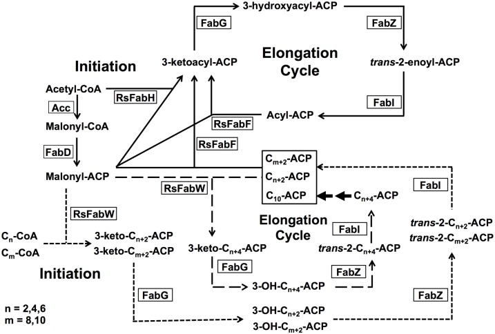 Fig 6