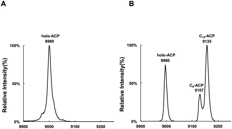 Fig 5