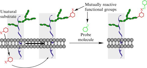 Figure 21.1