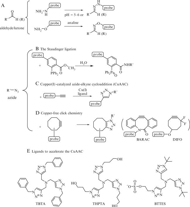 Figure 21.2