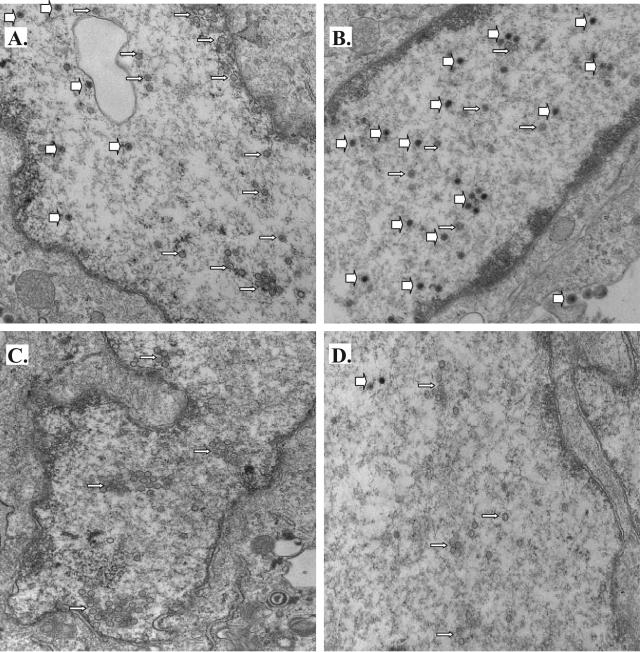 FIG. 7.