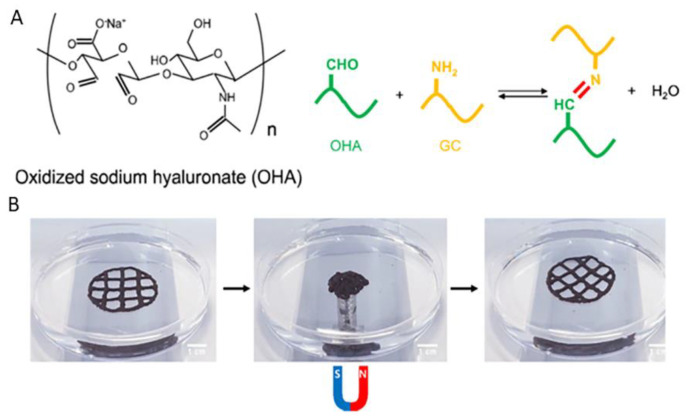 Figure 20