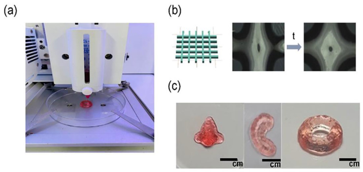 Figure 10