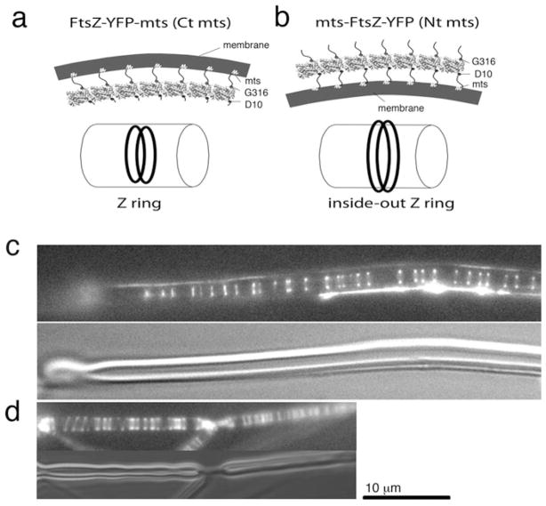 Fig. 5.3