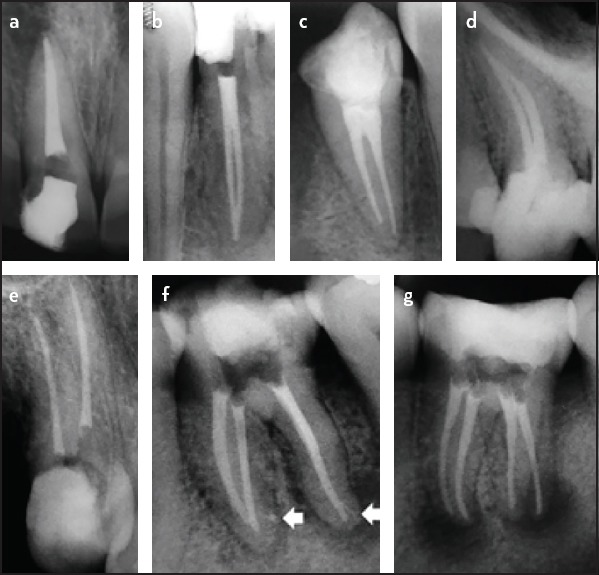 Figure 10