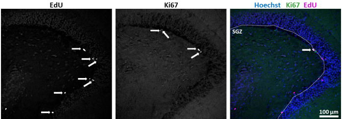 Figure 2.