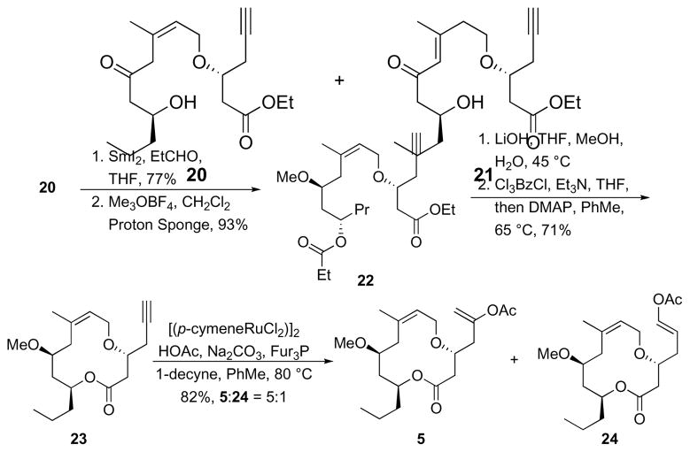 Scheme 7