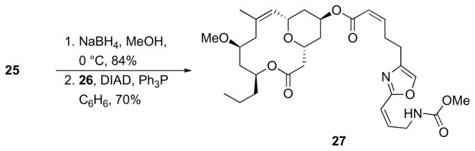 Scheme 10