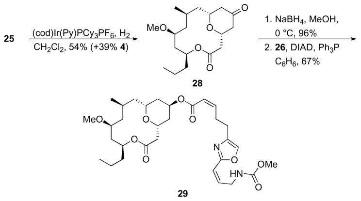 Scheme 11