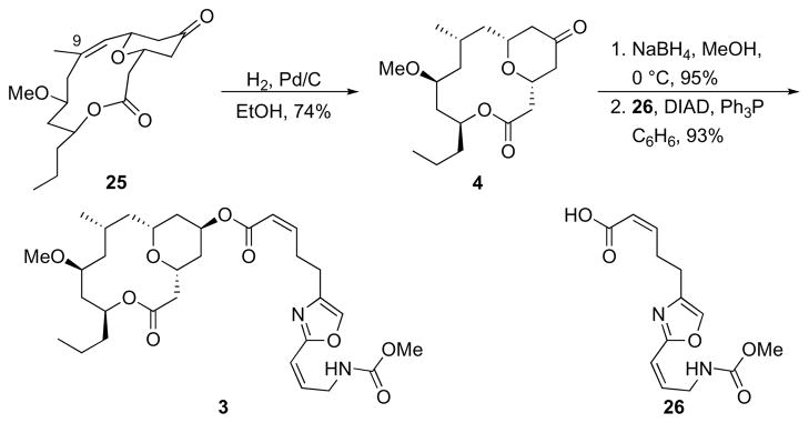 Scheme 9