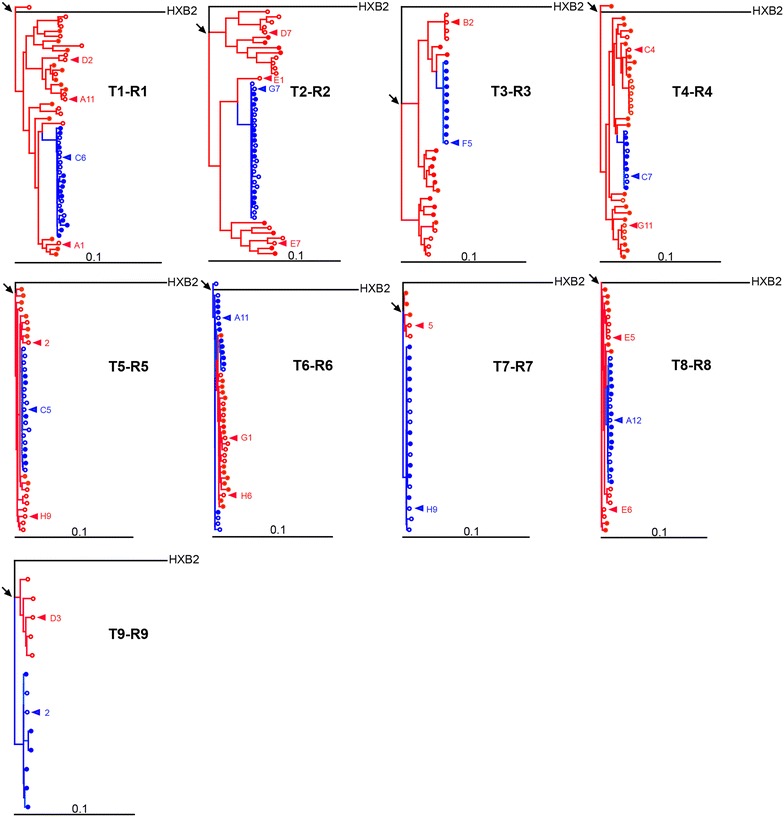 Fig. 1