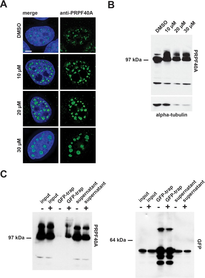 Figure 15.