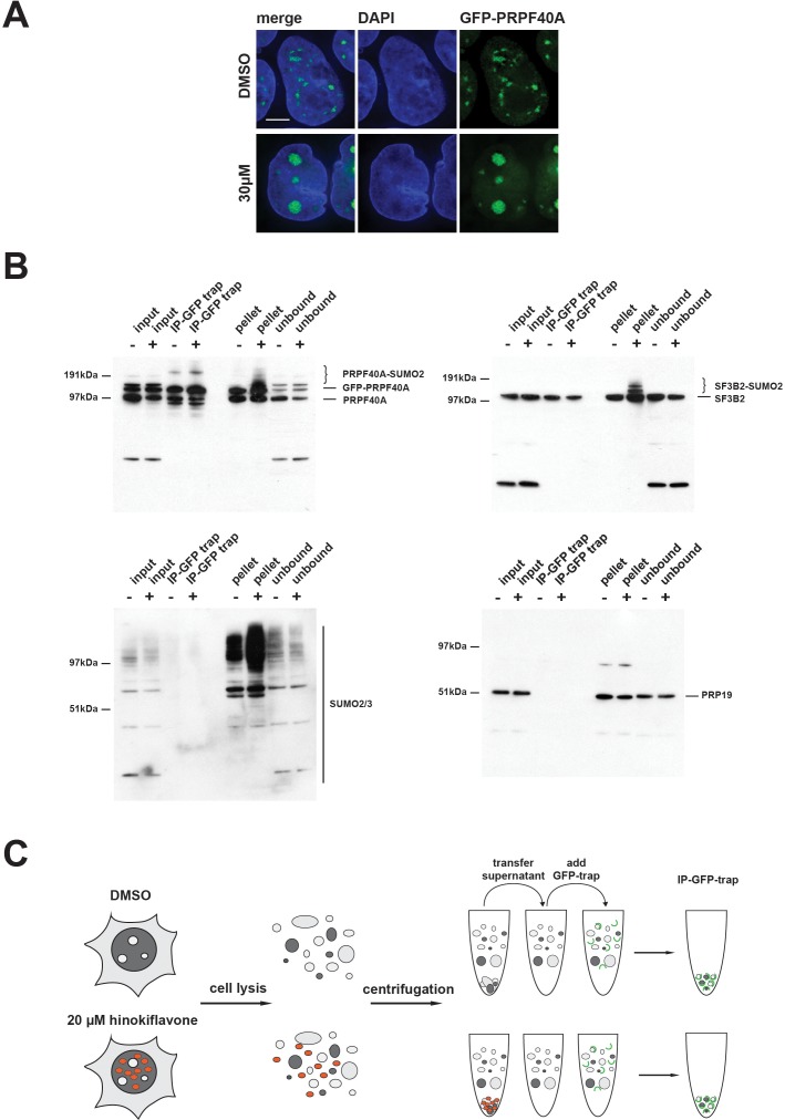 Figure 16.