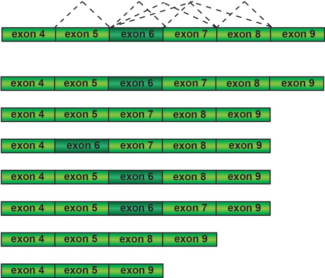 Figure 2—figure supplement 3.