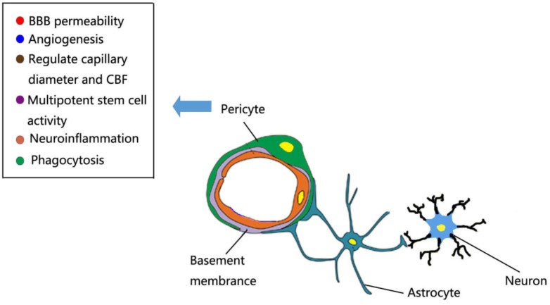 Fig. (1)