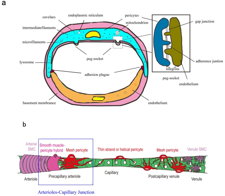 Fig. (2)