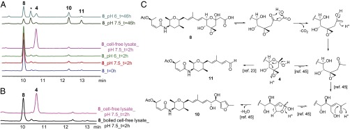 Fig. 6.