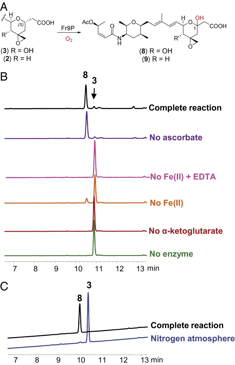 Fig. 4.