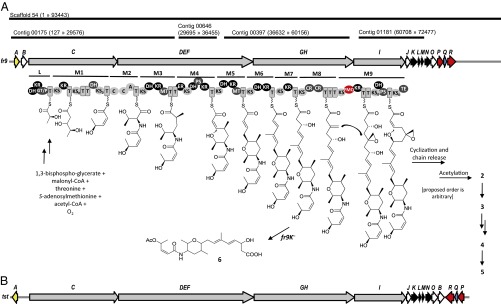 Fig. 2.