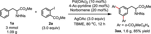 Scheme 3