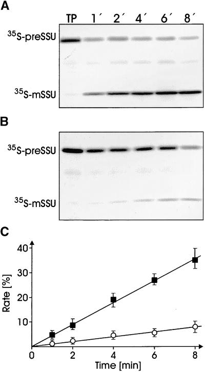 Figure 7.