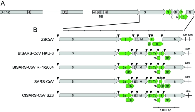 FIG 2 