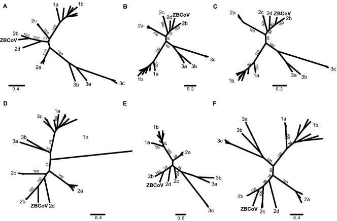 FIG 3 